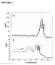 Fig. 02 - Primers, probes and methods for nucleic acid amplification