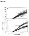 Fig. 03 - Primers, probes and methods for nucleic acid amplification