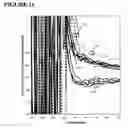 Fig. 12 - Primers, probes and methods for nucleic acid amplification