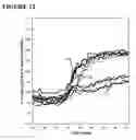 Fig. 13 - Primers, probes and methods for nucleic acid amplification