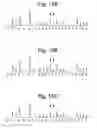 Fig. 16 - Primers, probes and methods for nucleic acid amplification