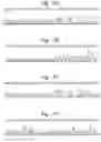 Fig. 18 - Primers, probes and methods for nucleic acid amplification