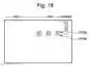 Fig. 19 - Primers, probes and methods for nucleic acid amplification
