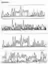 Fig. 20 - Primers, probes and methods for nucleic acid amplification