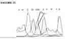 Fig. 22 - Primers, probes and methods for nucleic acid amplification