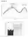 Fig. 24 - Primers, probes and methods for nucleic acid amplification