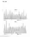 Fig. 06 - COMPOSITIONS, METHODS AND KITS TO DETECT DICER GENE MUTATIONS
