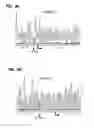 Fig. 03 - COMPOSITIONS, METHODS AND KITS TO DETECT DICER GENE MUTATIONS