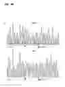Fig. 07 - COMPOSITIONS, METHODS AND KITS TO DETECT DICER GENE MUTATIONS