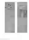 Fig. 02 - METHODS AND COMPOSITIONS FOR DETECTION OF LETHAL SYSTEM AND USES THEREOF