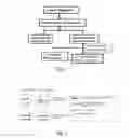 Fig. 02 - COMPOSITIONS, METHODS AND USES FOR DISEASE DIAGNOSIS