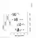 Fig. 08 - Diagnosis of preeclampsia