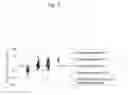 Fig. 02 - Method for detecting renal disease comprising measuring human megalin in urine