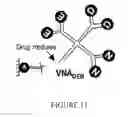Fig. 12 - Photo-Crosslinked Nucleic Acid Hydrogels