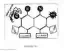 Fig. 17 - Photo-Crosslinked Nucleic Acid Hydrogels