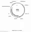 Fig. 09 - Plasmid system for multigene expression