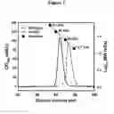 Fig. 04 - Diguanylate cyclase method of producing the same and its use in the manufacture of cyclic-di-GMP and analogues thereof