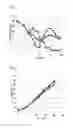 Fig. 02 - METHOD FOR PRODUCING AN L-AMINO ACID