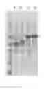 Fig. 02 - Method for producing 3-mercaptopropionic acid or salt thereof
