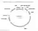Fig. 08 - Variant CBH2 cellulases