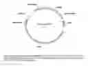 Fig. 09 - Variant CBH2 cellulases