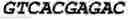 Fig. 04 - MOLECULES ABLE TO MODULATE THE EXPRESSION OF AT LEAST A GENE INVOLVED IN DEGRADATIVE PATHWAYS AND USES THEREOF