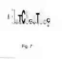 Fig. 10 - MOLECULES ABLE TO MODULATE THE EXPRESSION OF AT LEAST A GENE INVOLVED IN DEGRADATIVE PATHWAYS AND USES THEREOF