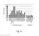 Fig. 13 - MOLECULES ABLE TO MODULATE THE EXPRESSION OF AT LEAST A GENE INVOLVED IN DEGRADATIVE PATHWAYS AND USES THEREOF