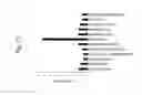 Fig. 16 - MOLECULES ABLE TO MODULATE THE EXPRESSION OF AT LEAST A GENE INVOLVED IN DEGRADATIVE PATHWAYS AND USES THEREOF
