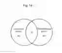 Fig. 17 - MOLECULES ABLE TO MODULATE THE EXPRESSION OF AT LEAST A GENE INVOLVED IN DEGRADATIVE PATHWAYS AND USES THEREOF
