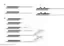 Fig. 01 - Reduced size self-delivering RNAi compounds