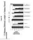 Fig. 49 - Reduced size self-delivering RNAi compounds