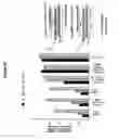 Fig. 63 - Reduced size self-delivering RNAi compounds