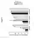 Fig. 72 - Reduced size self-delivering RNAi compounds
