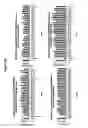 Fig. 87 - Reduced size self-delivering RNAi compounds