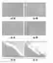Fig. 06 - FABRICATION OF NANOFIBER REINFORCED STRUCTURES FOR TISSUE ENGINEERING