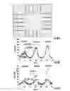 Fig. 07 - FABRICATION OF NANOFIBER REINFORCED STRUCTURES FOR TISSUE ENGINEERING