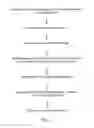 Fig. 02 - Modification of the genome of a lytic bacteriophage by immobilizing said bacteriophage in the host bacterium thereof