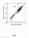 Fig. 09 - Glycan-specific analytical tools