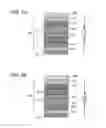 Fig. 03 - Light-emitting device