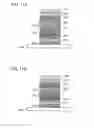 Fig. 12 - Light-emitting device