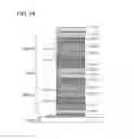 Fig. 25 - Light-emitting device