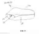 Fig. 03 - Butchering processes for meat products