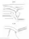 Fig. 08 - Constant velocity joint and constant velocity joint boot
