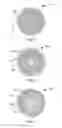 Fig. 02 - Systems and methods for manufacturing a golf ball