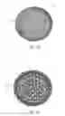 Fig. 14 - Golf ball surface patterns comprising a channel system