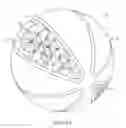 Fig. 17 - Golf ball surface patterns comprising a channel system