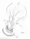 Fig. 02 - Shuttlecock