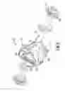 Fig. 04 - Axle assembly for a motorcycle having a pair of driven wheels