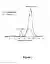 Fig. 02 - Non-destructive process for the elimination of silicon from alumina based materials